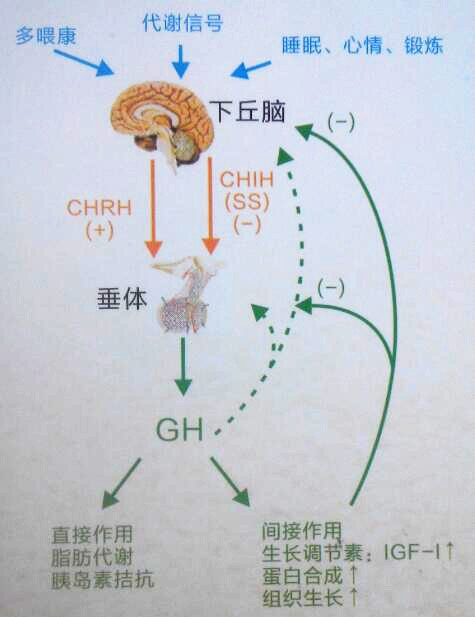 QQ截图20160907143711_副本.jpg