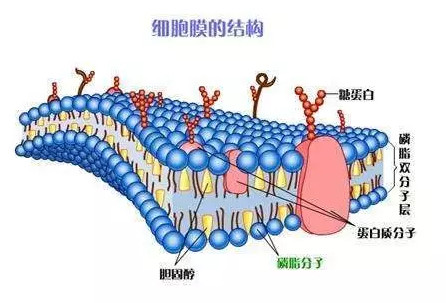 3_鍓湰.jpg