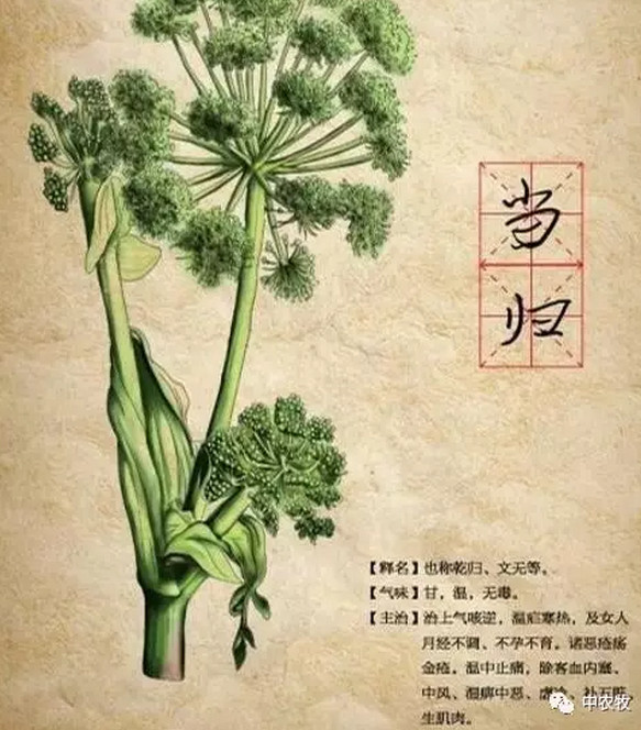 4_鍓湰.jpg