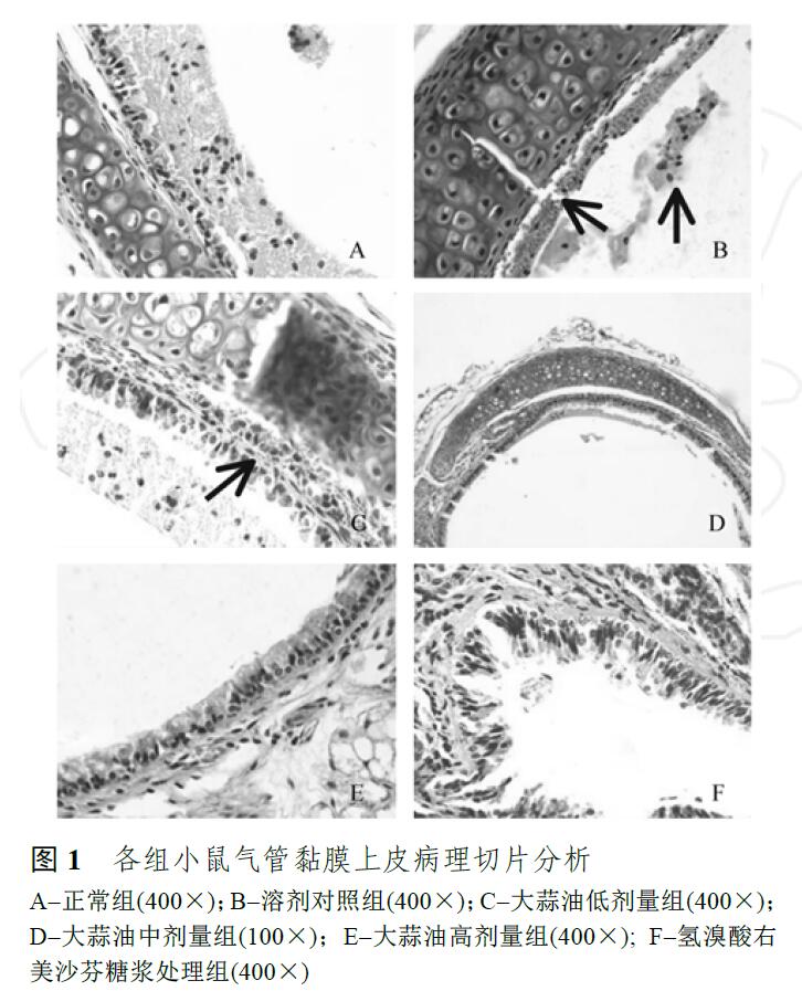 鍥? (2).jpg