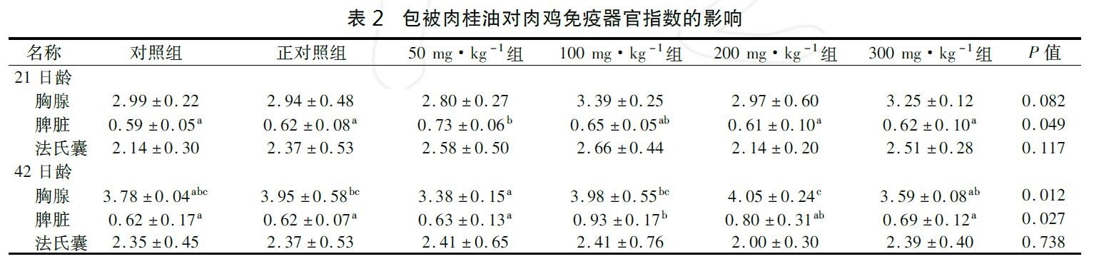 表2.jpg